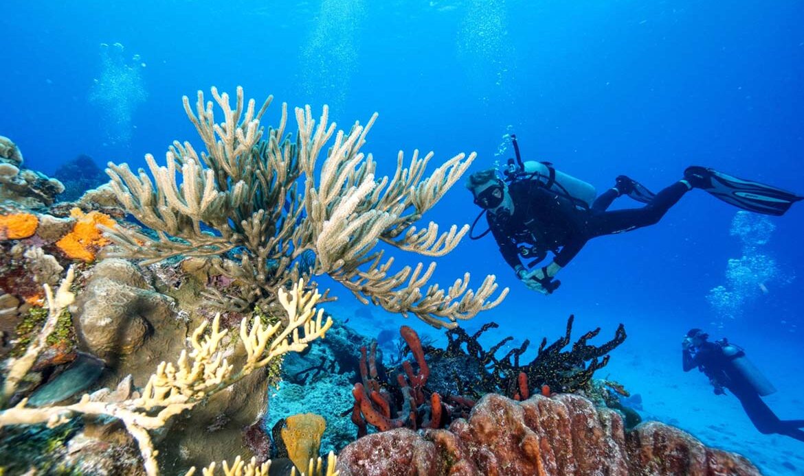 Diving Playa del Carmen