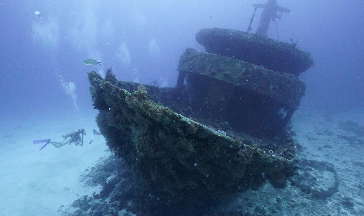 Diving Playa del Carmen
