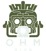 ohmdive.com
