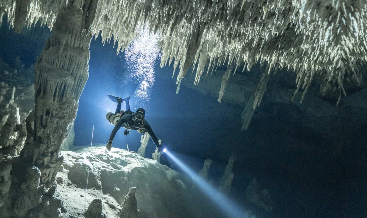 Diving Experience: Cenote