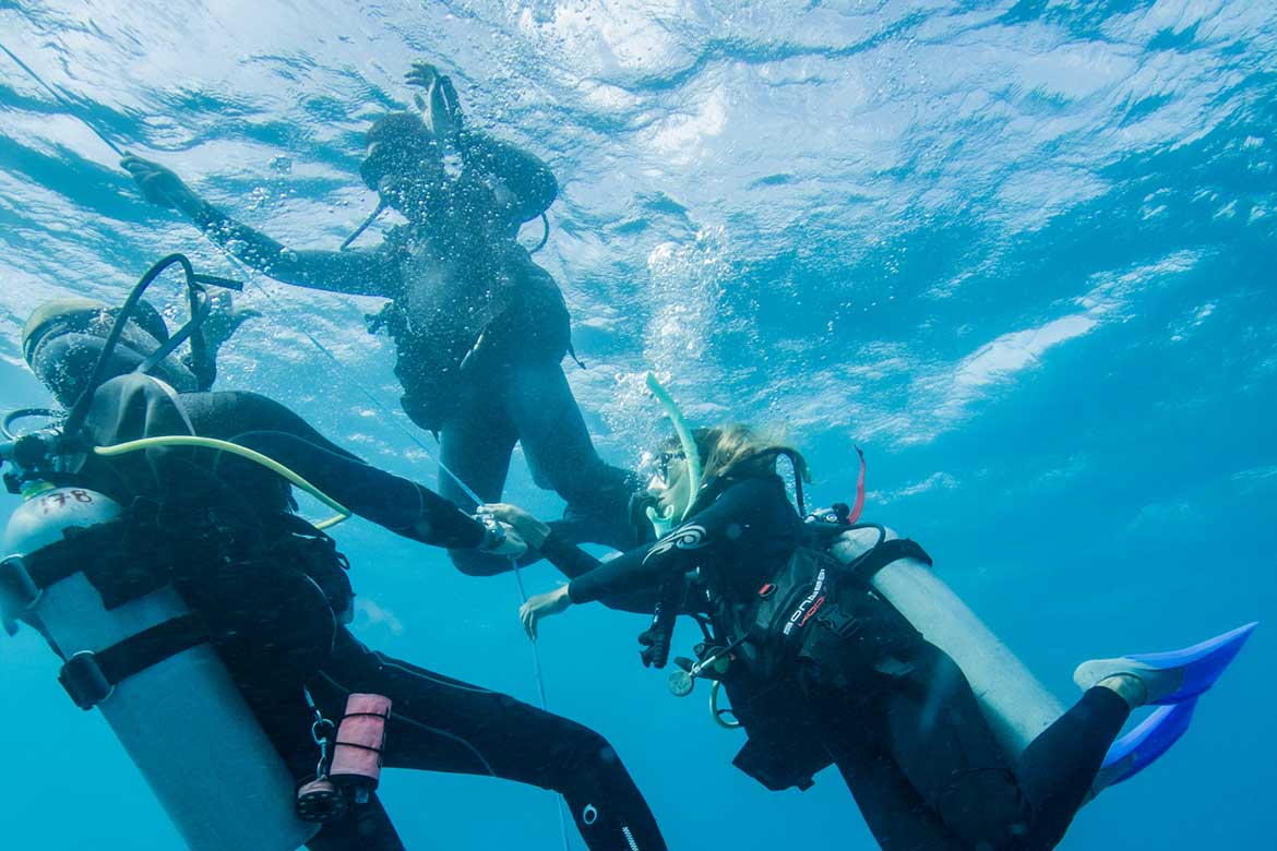 OPEN WATER DIVER COURSE: