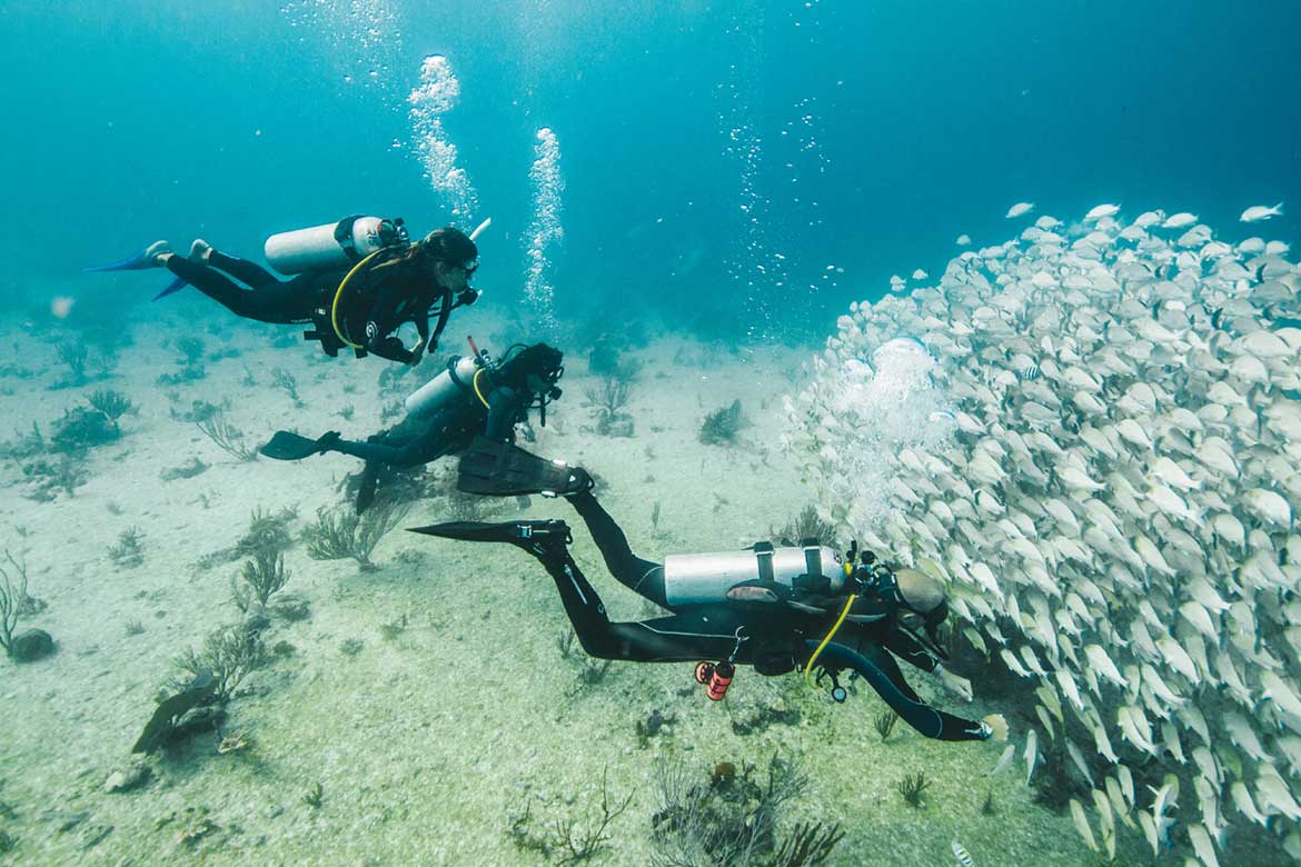 OPEN WATER DIVER COURSE: